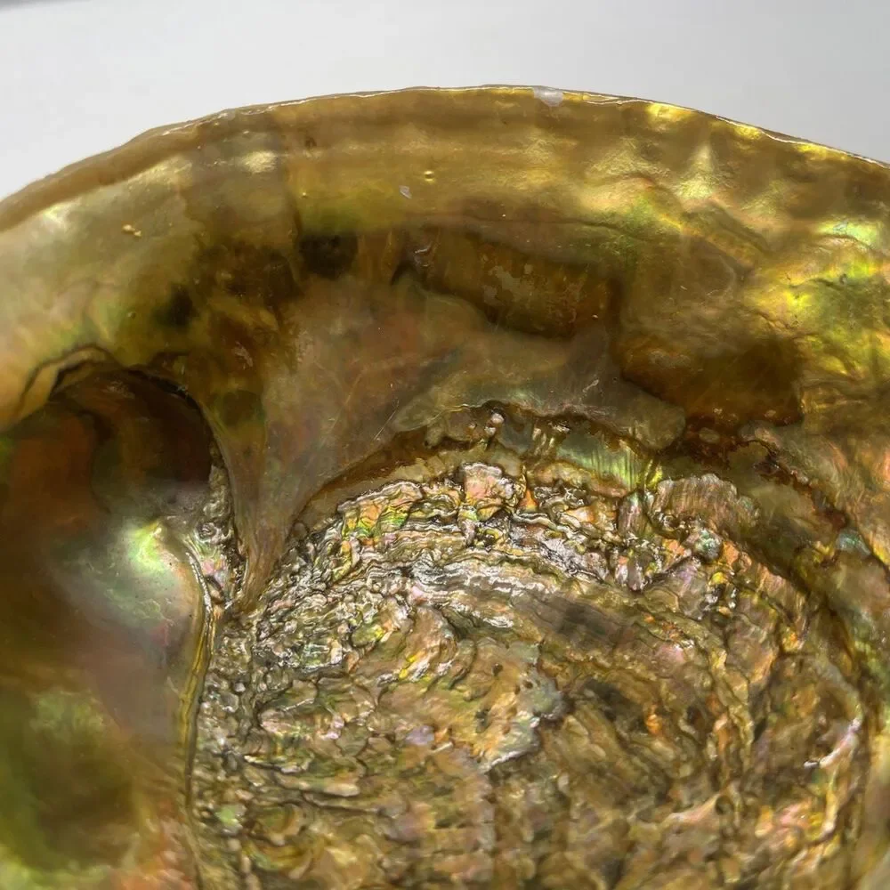 Vintage Iridescent Abalone Shell Trinket Candy Dish Footed Bowl Natural Decor